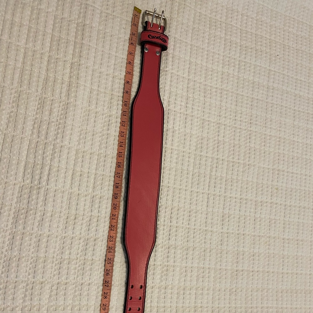 Cardillo women’s weight belt
